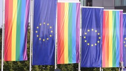 Regenbogenflaggen und Flaggen der Europäischen Union vor der Grugahalle in Essen, wo am Wochenende die AfD ihr Parteitag abhalten wird