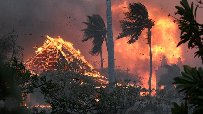 Ein Haus brennt bei den Waldbränden auf Hawaii.