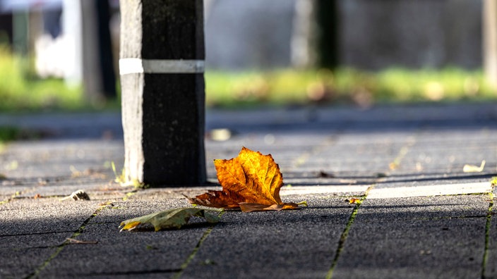 Ein Blatt liegt auf dem Bürgersteig