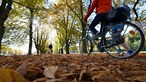 Eine Fahrradfahrerin und ein Läufer genießen das Herbstwetter.