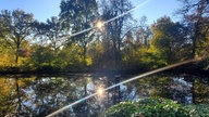 Herbstlandschaft bei Schloss Reydt 