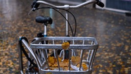 Herbstlaub liegt in einem Korb an einem Fahrrad in Berlin