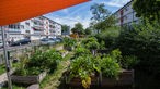 21.06.2018, Hessen, Frankfurt am Main: Ein Sonnensegel schützt den Anbau im Urban Gardening-Projekt "Gallus-Garten" vor der Sonne