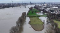 Die Pollerwiesen am Rheinufer stehen unter Wasser