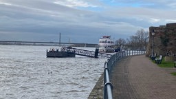 Der Rhein bei Rees hat Hochwasser