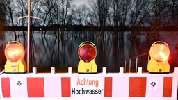 Bäume stehen im Hochwasser des Rheins in Köln