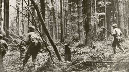 Amerikanische Infantrie kämpft im Hürtgenwald in der Nähe von Vossenack (Aufnahme vom 09.11.1944)