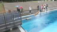 Ein Hund springt von einem Ein-Meter-Turm in ein Wasserbecken. Ein anderer schwimmt derweilen.