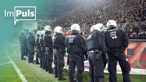 Polizei in einem gefüllten Stadion