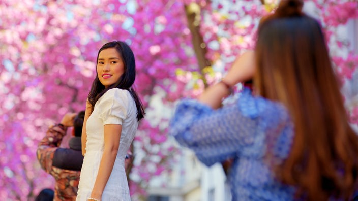 Eine junge Frau lässt sich vor rosa blühenden Kirschbäumen fotografieren