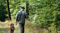 Ein Jäger geht mit einem Gewehr über der Schulter und einem Jagdhund (Deutscher Langhaar) an der Leine über einen Waldweg. 