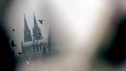 Tauben fliegen bei grauem Himmel am Dom vorbei.