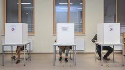 Wähler sitzen im Wahllokal im Gymnasium Rutheneum hinter Wahlkabinen