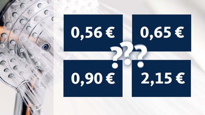 Die Grafik zeigt im Hintergrund einen Duschkopf vor dem vier blaue Quiz-Kacheln mit unterschiedlichen Preisangabe zwischen 0,19 Euro und 0,98 Euro drei Fragezeichen einrahmen.