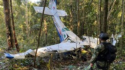 Das abgestürzte Kleinflugzeug im Regenwald von Kolumbien 