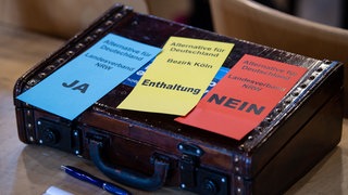 Warburg: Stimmkarten mit der Aufschrift "Ja", "Nein" und "Enthaltung" liegen beim Landesparteitag der nordrhein-westfälischen AfD auf dem Koffer eines Delegierten.