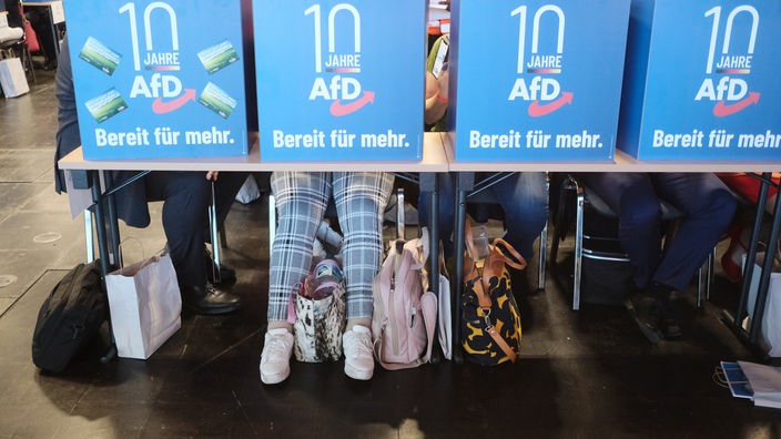 AfD-Europawahlversammlung in Magdeburg