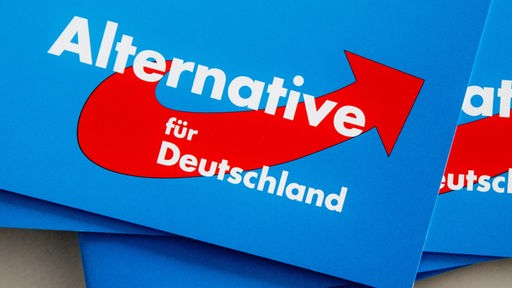 Ein Stappel Broschüren mit dem Logo der AfD