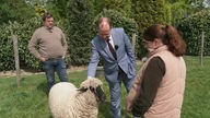 Joachim Stamp streichelt ein Schaf