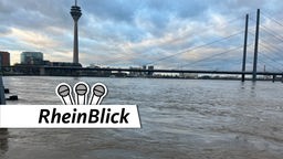 Hochwasser am Rhein in Düsseldorf mit Blick auf den Rheinturm, die Rheinknie-Brücke und den Landtag