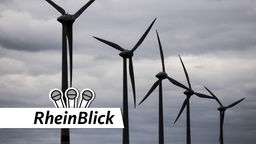 Klimaschutz Rheinblick