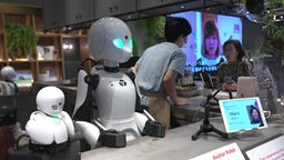 Ferngesteuerte Roboter stehen an einer Theke in einem Café in Tokio