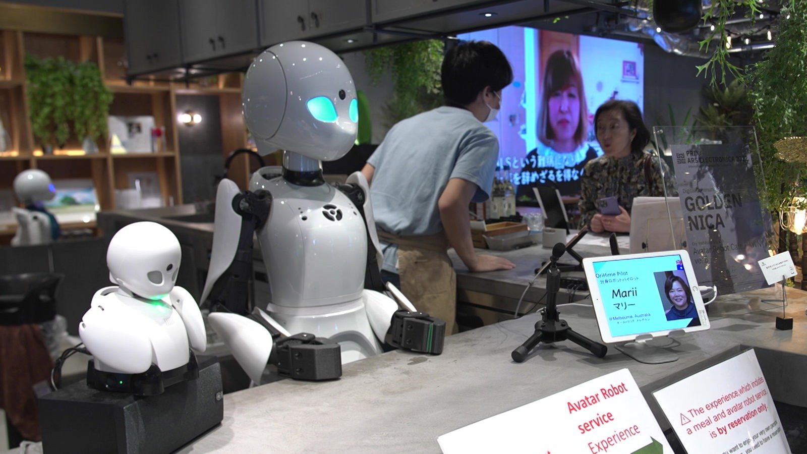 電子機器で孤独に立ち向かう: ヴュストが日本のコーヒーロボットを訪問 – 国政 – ニュース – WDR – 国政 – ニュース