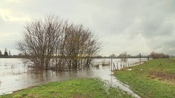 Überschwemmter Rheindeich Düsseldorf Lohausen