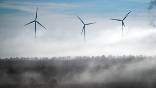 Windräder zur Stromerzeugung stehen am Rand des Braunkohletagebau Garzweiler