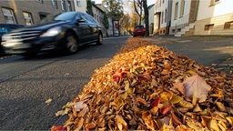 Schnell fahrendes Auto in einer Strasse und Herbstlaub am Strassenrand.