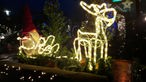 Santa mit "Lichter-Rentier" bei Trecker-Fahrt in Borken