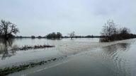Hochwasser Lippe in Waltrop