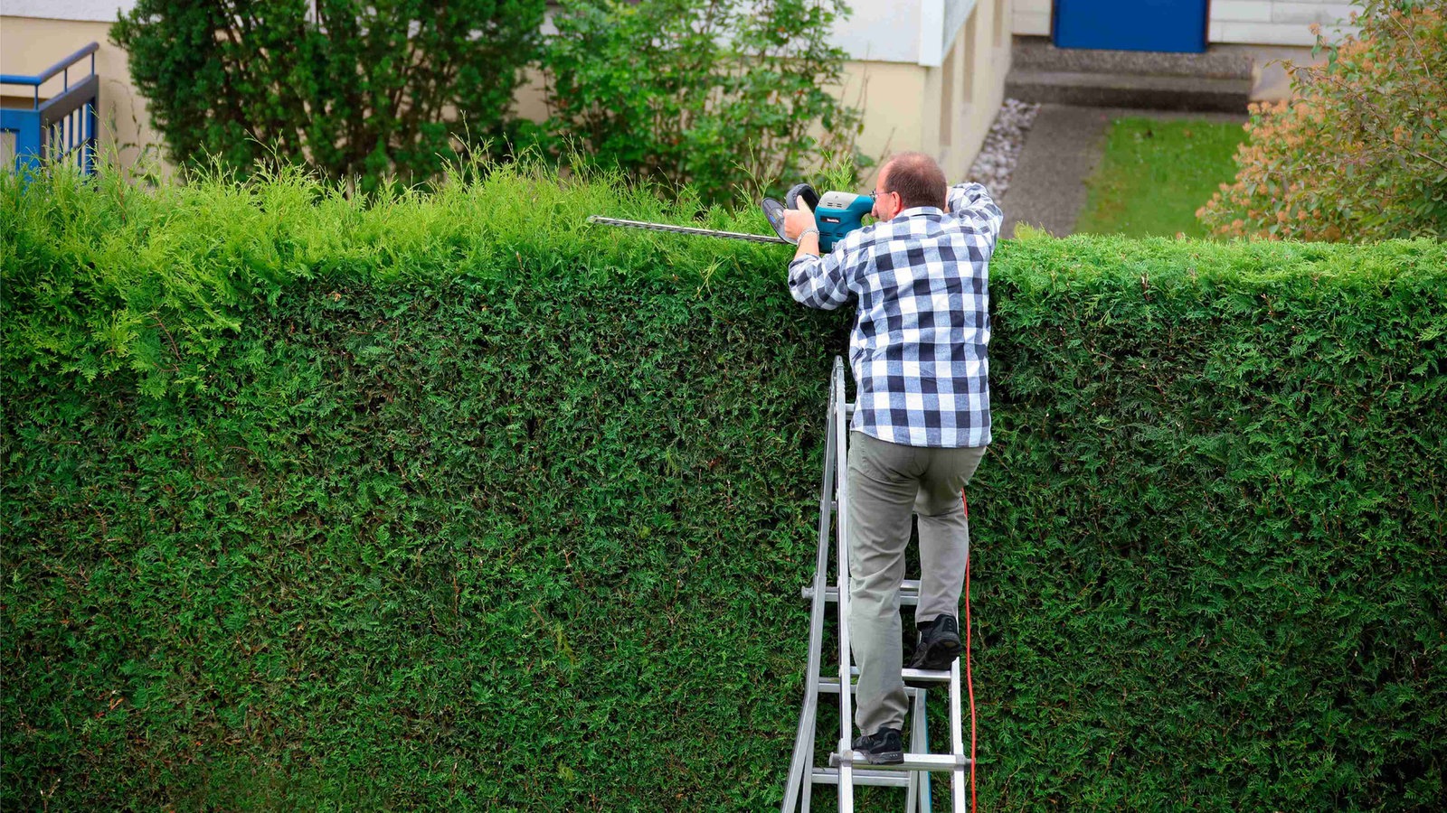 Streit-um-Sieben-Meter-Hecke-vor-Gericht-in-Hessen