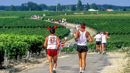 Medoc Marathon Frankreich im September 2014