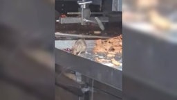 Maus am Dönerspies in Haus des Döners Filiale