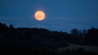 Mondaufgang in Winterberg 