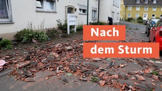 TN - Nach dem Sturm