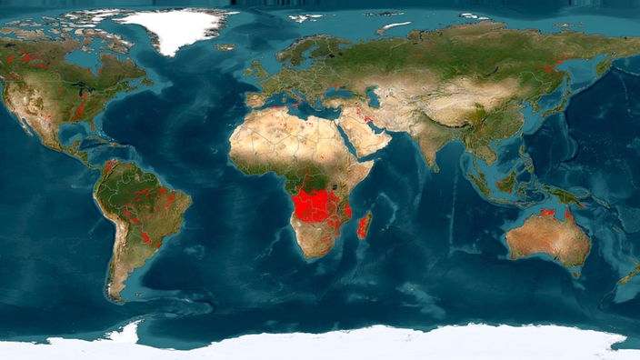 Brände auf einer Weltkarte verzeichnet (Screenshot eines NASA-Angebots vom 25.07.2023)