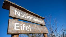 Ein Schild "Nationalpark Eifel" steht in der Nähe von Vogelsang am Rande des Nationalparks