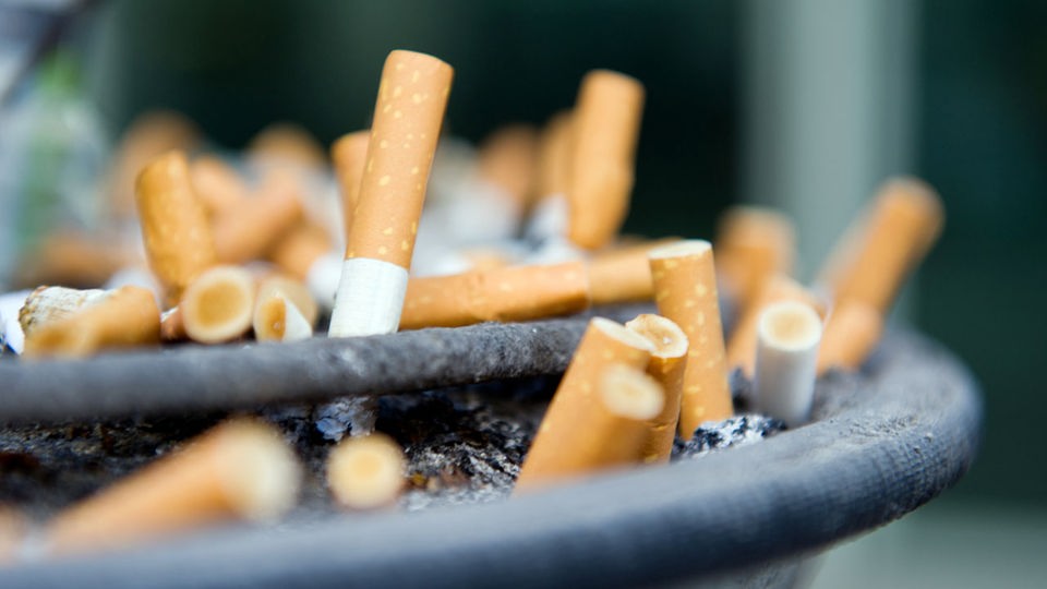 Nikotin: Tödliche Dosis - Rauschmittel - Gesellschaft - Planet Wissen