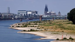 Köln, 24.07.2022: Niedrigwasser auf dem Rhein bei Köln