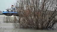 Frachtschiffe fahren an Bäumen vorbei, die im Hochwasser des Rheins stehen