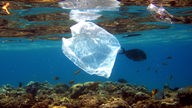 Plastiktüte schwimmt im Meer