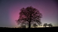 Polarlichter leuchten über dem britischen Shropshire