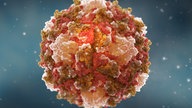 Poliovirus