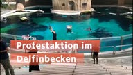 Tierschutz-Aktivisten springen während einer  Show im Duisburger Zoo ins Delfinarium