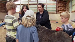 Vier Kinder stehen um einen Esel und striegeln ihn, eine Erwachsene hilft ihnen 