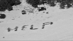 Schiffbrüchige haben die Buchstaben HELP mit Palmwedeln auf einen Sandstrand geschrieben