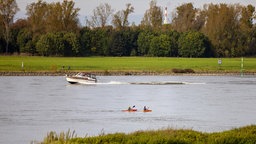 Düsseldorf: Kanufahrer sind auf dem Rhein unterwegs. 