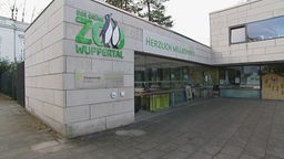 Helles Gebäude mit grüner Schrift und gläsernem Eingang